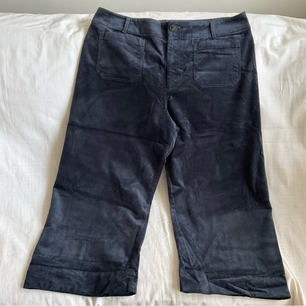 Mauve by Anthropologie | ‘The Colette’ Wide-Leg Crop Corduroy Pants | Size 20W
